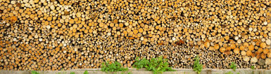 Bois-énergie : énergie locale et naturelle