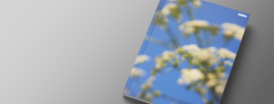 Coffee Table Book (englische Version)
