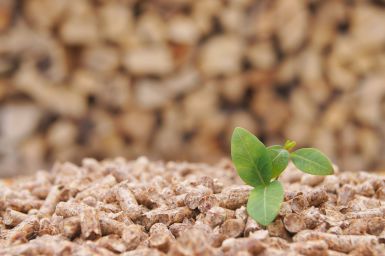 Poêle à pellets : comment choisir les granulés de bois ?