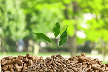 Pellets: the right choice and the right reflexes
