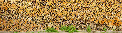 Bois-énergie : énergie locale et naturelle